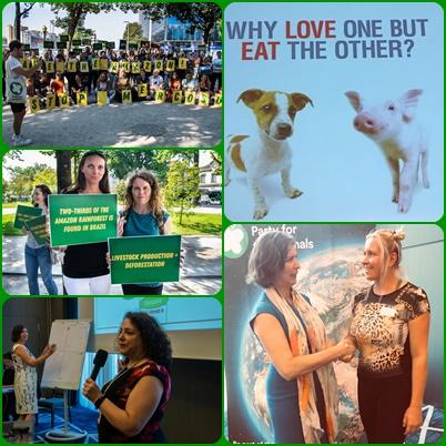 WORLD CONFERENCE FOR ANIMAL RIGHTS IN PORTUGAL